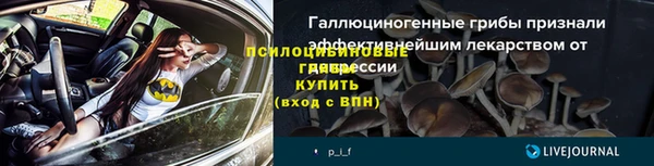 амф Бронницы