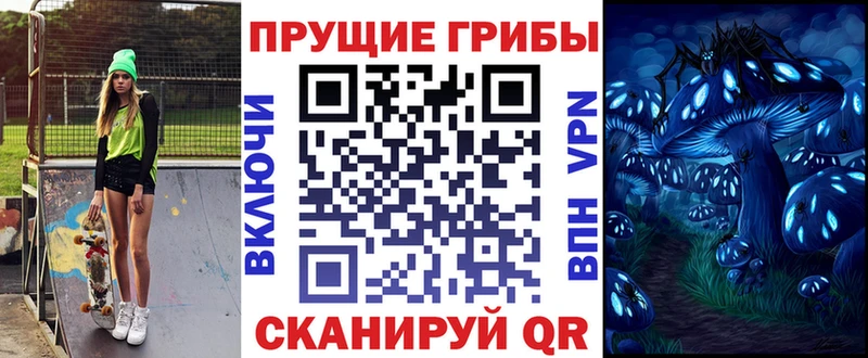 Купить где  Горбатов  Псилоцибиновые грибы прущие грибы 