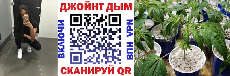Купить где  Горбатов  Бошки Шишки White Widow 